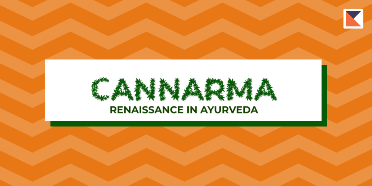 Medicinal Cannabis Startup Cannarma Secures Funding
