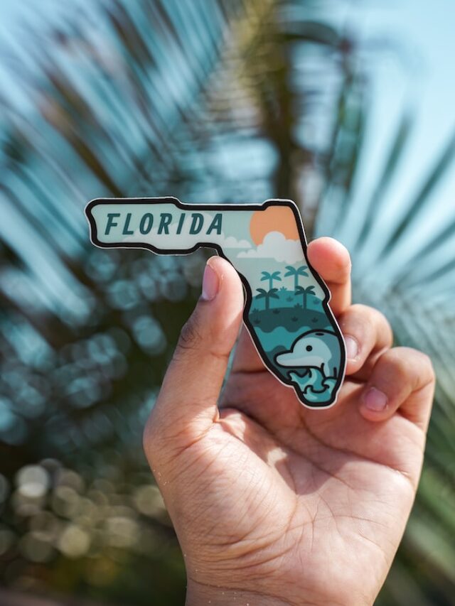 business ideas for Florida